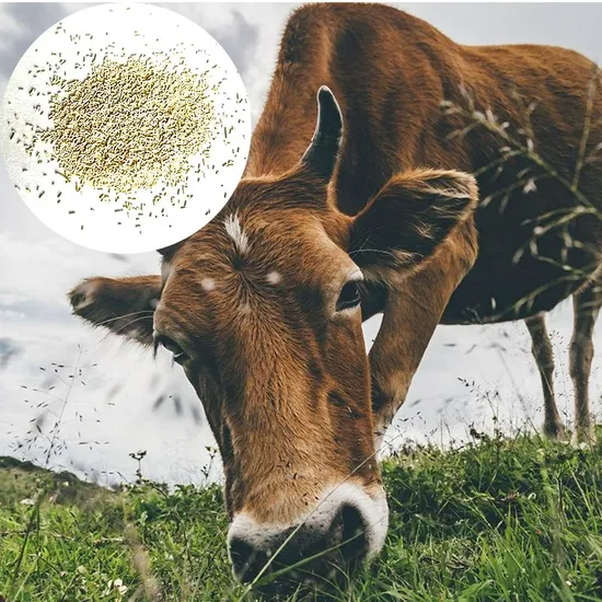Feed Grade Active Dry Yeast Saccharomyces Cerevisiae Feed Live Yeast 20billionfeed Live Dry Yeast