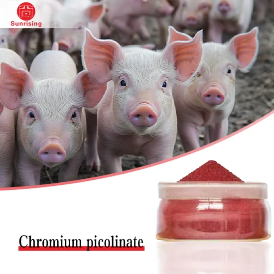 Factory Production and Supply of High Quality Chromium Picolinate Animal Additive