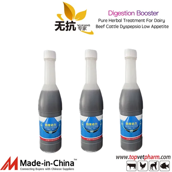 Herbal Treatment for Indigestion Dyspepsia in Cattle Ruminants