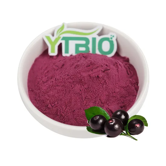 Best Price Acai Extract 100% Pure Brazilian Acai Berry Juice Powder