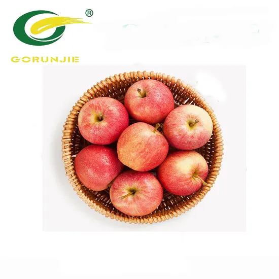 Apple Fruit Powder Apple Extract Apple Polyphenols 80% Powder Water-Soluble