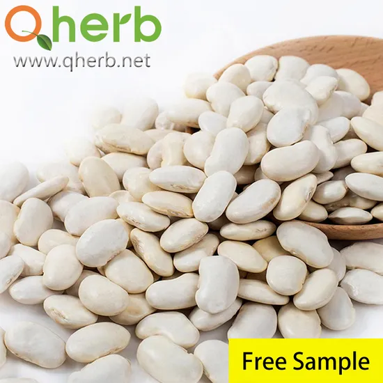Phaseolamin Phaseolus Vulgaris White Kidney Bean Extract for Weight Loss
