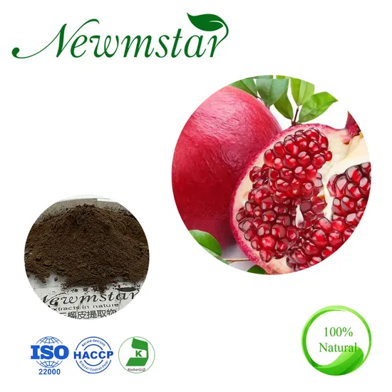 ISO Certified Ellagic Extract/Pomegranate Peel Extract with 40% Ellagic Acid
