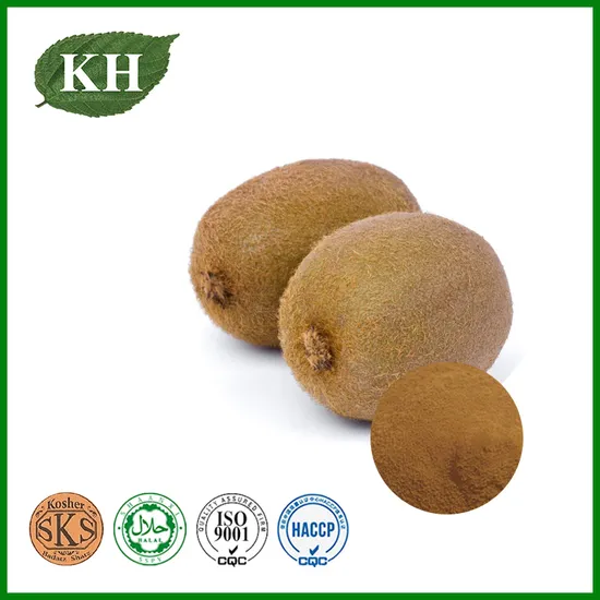 Natural Kiwi Fruit Powder 80 Mesh