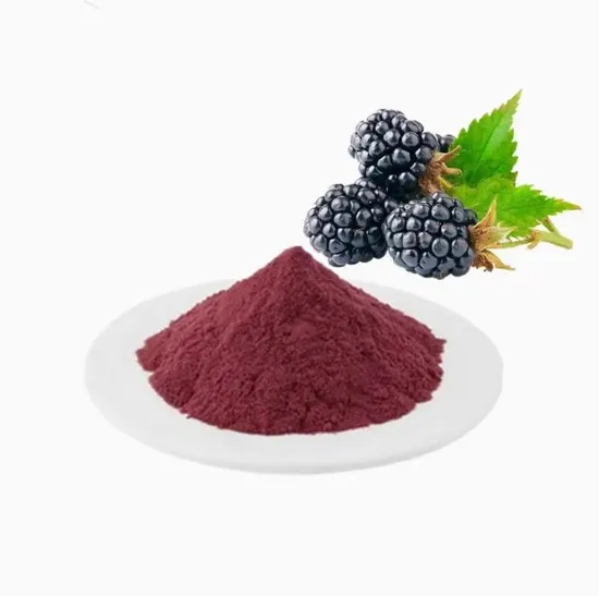 Health Ingredient Supply Mineral-Rich Anti-Aging Spray Dried Mulberry Fruit Powder