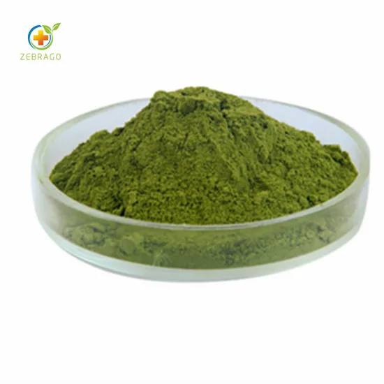 Bulk Price Dried Kale Powder