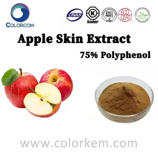 Apple Root Extract Apple Skin Extract Content Phloridzin Free Sample