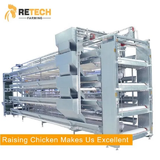 Good Price Automatic Egg Layer Chicken Farm Laying Hens Poultry Battery Cages for Sale