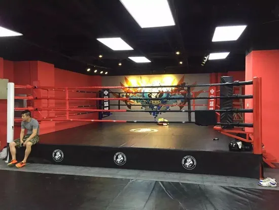 Fighting Octagon MMA Cage Bags Black Red Customized Sea Steel Gross Color Package Weight CIF Material Woven Origin