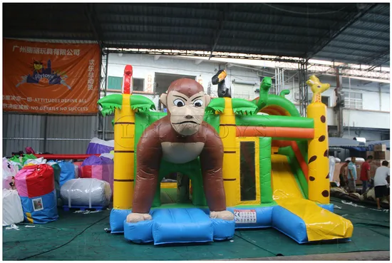 Lilytoys Indoor and Outdoor Commercial Inflatable Bounce House Combo