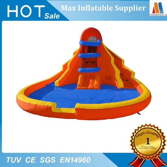 Family Party Garden Toy Inflatable Slide with Swimming Pool
