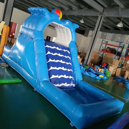 2024 Commercial Dolphin Inflatable Water Slide Combos Amusement Park for Kids and Adults
