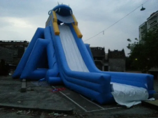 2023 New Outdoor Funny Inflatable Big Tiger Slide for Sale