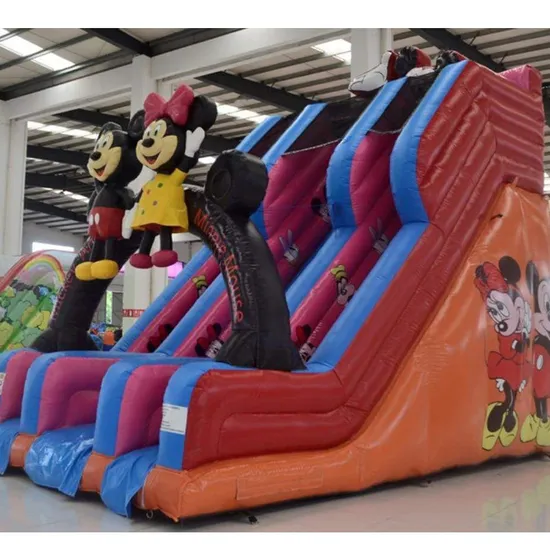 Tarpaulin PVC Giant Play Product Inflatable Cartoon Slide Dry and Wet 2 in 1
