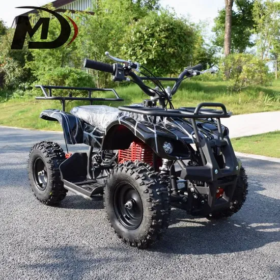 Air-Cooled 2 Stroke 49cc Pull Start Quad Bike Toy Car