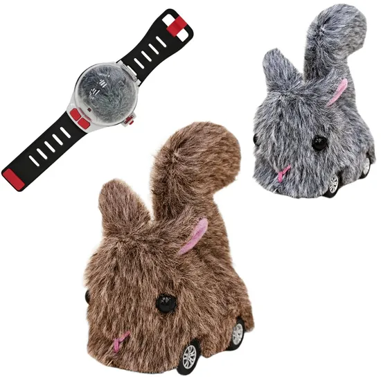 Watch Remote Control Mini Car Animal Shape Squirrel, Rechargeable Cute Boys Toys, RC Girls Toy Birthday Present with Lights