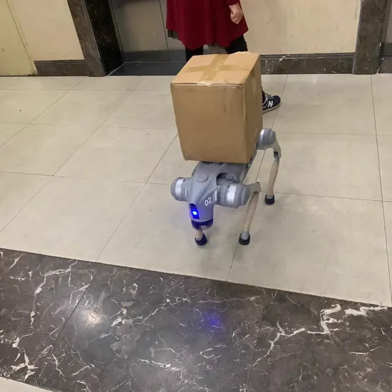 Ai Large Model Robot Dog Go2 Electronic Dog Embodied Intelligent Bionic Companion Robot Four-Legged Robot Dog