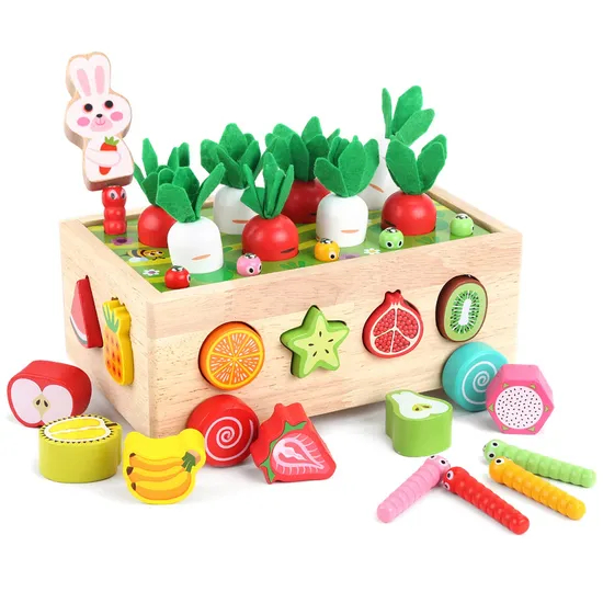 Toddlers Montessori Wooden Educational Shape Sorting Toys