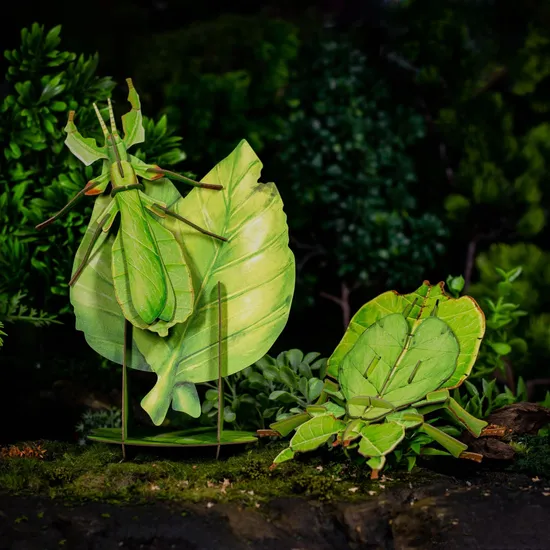 Leaf Insect - 3D Puzzle Eco-Friendly Paper Crafts DIY STEM Toys Educational Learning 3D Puzzles for Kids 7+ Perfect Gifts for All