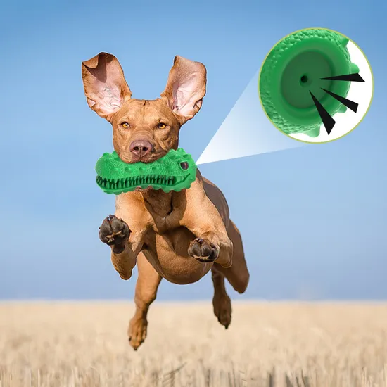 2023 Innovation Design Dropshipping Pet Supplies