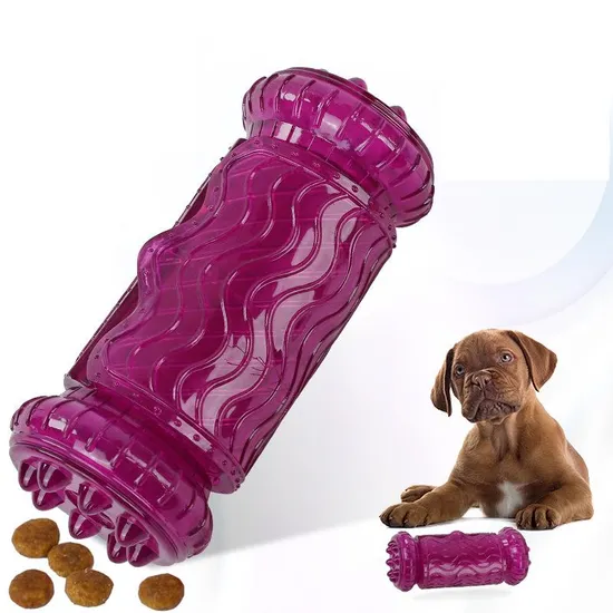 Educational and Boring Teething Interactive Card Food Pet Supplies Leaking Food Roll Dog Toy