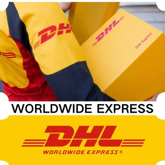 Professional DHL/UPS/FedEx China to U. S. /Global/Freight Forwarder