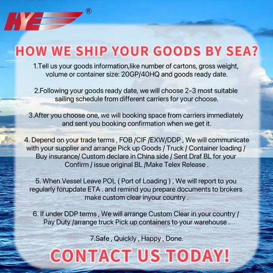 Sea Shipping Sea Freight From China to The United States DDP USA Logistics