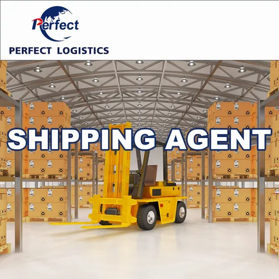 Door to Door Delivery Logistics Services From China to UAE/United Arab Emirates/Dubai/Abu Dhabi/Saudi Arabia