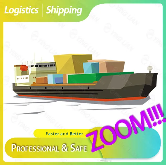 Super Patient Shipping Service From China to Dubai The Middle East Including DDP/DDU/CIF/Amazon