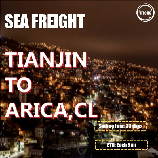 Freight Forwarder Ocean Freight Service From Tianjin to Arica Chile