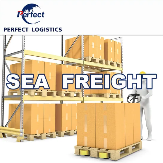 Cheapest Sea Shipping Agent From China Shipping to Dubai UAE Saudi Arabia Sea Cargo Service