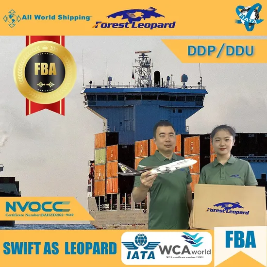 Fastest DDP Express Service of UPS/DHL/FedEx/TNT to USA From China