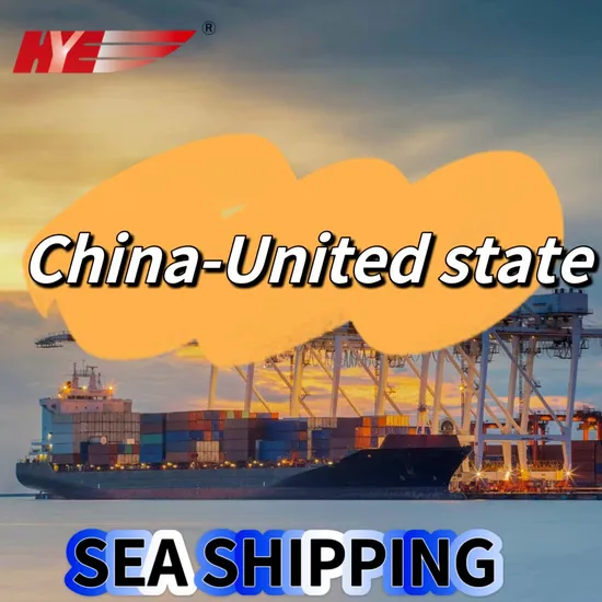 Sea Shipping FCL/LCL Sea Freight Logistics From China to United States of America
