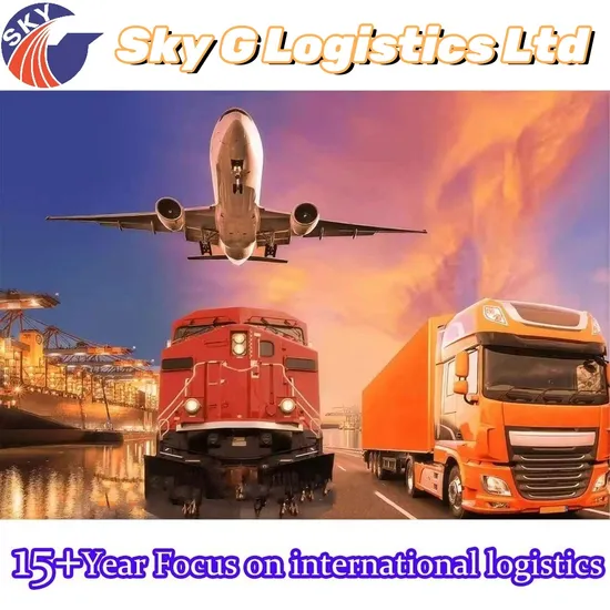 Sea Freight Logistics Service From China to Dubai Yemen Saudi Arabia Kuwait Qatar DDP to Door Sea Shipping