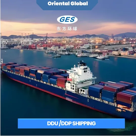 Quick Sea Freight Logistics for Affordable to USA/UK/Europe/Canada/Worldwide Amazon DDU DDP Door to Door Shipping Solutions