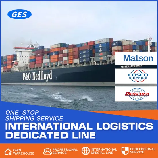 Fast and Secure Shenzhen to Seattle FCL Freight Solutions