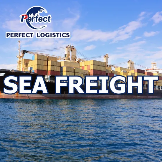 Sea Freight Forwarder with Cheap Container Shipping Rates From Shenzhen/Guangzhou/Yiwu China to Belgium/Bulgaria Ocean Shipping