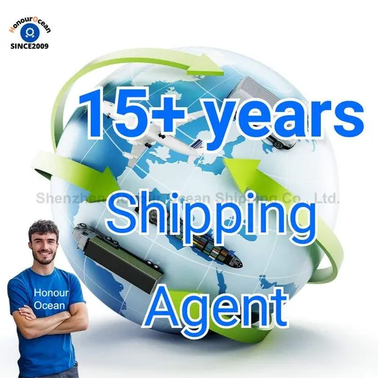 Shipping Agent in China to USA South Africa Russia UK Germany Canada France Australia Mexico Europe Worldwide DDP Shipping Services
