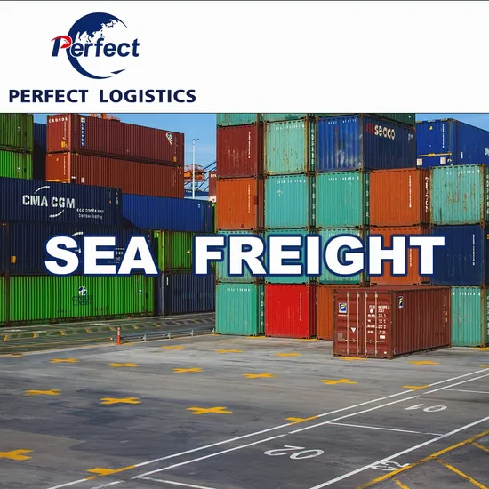 Logistics Services Freight Forwarder Sea Shipping Agent From Shenzhen to British America