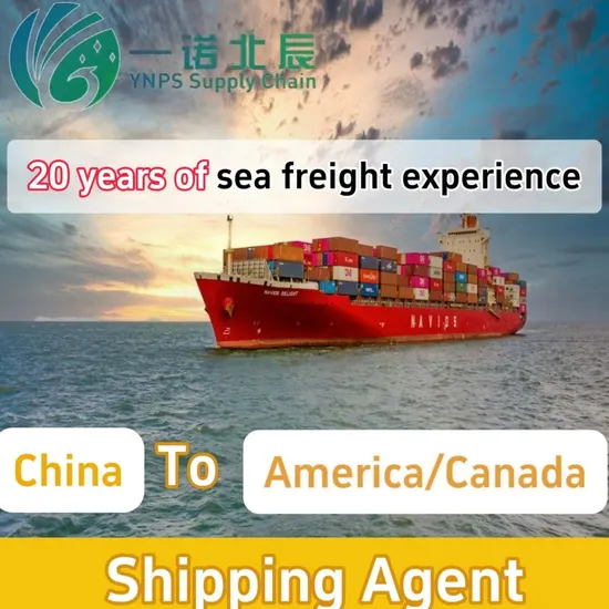 Sea Freight From Shenzhen to Canada International Logistcs DDP Door-to-Door Services Shipping Agent Drop Shipping