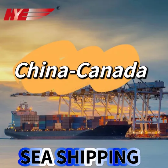FCL/LCL Sea Freight Best and Cheapest Ocean Shipping From China to Canada