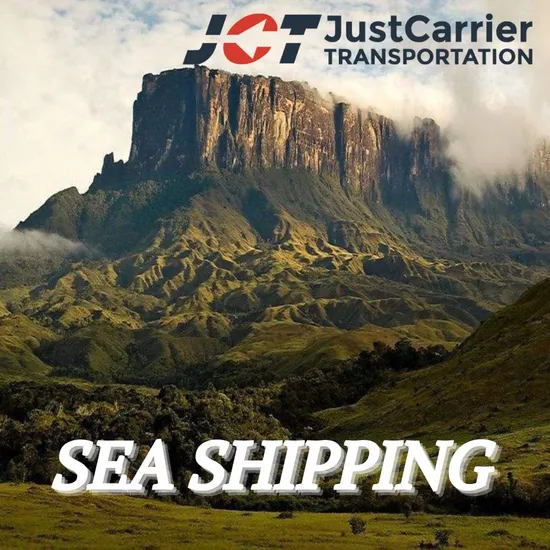 Professional Cheaper LCL/FCL Ocean Freight to Brazil