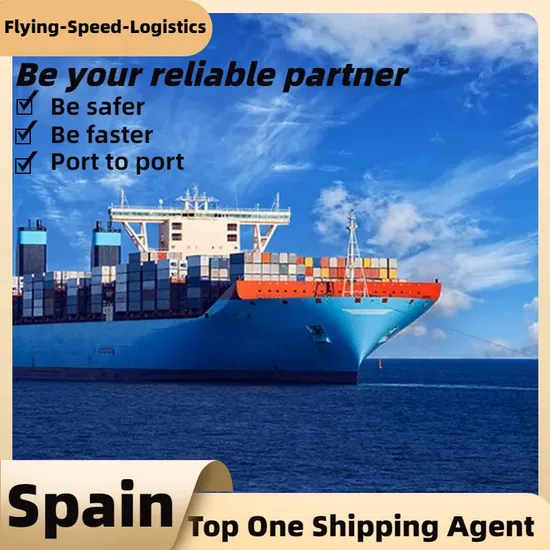 China to Spain/USA Sea Freight Shipping Agent, Freight Forwarder/Logistics
