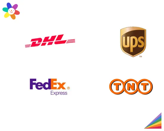 China Express Shipping Via FedEx or UPS or DHL for Parcel