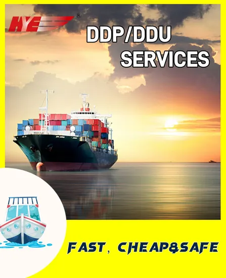 Worldwide Door to Door China Freight Forwarder Shipping Agent Transportation Service USA UK