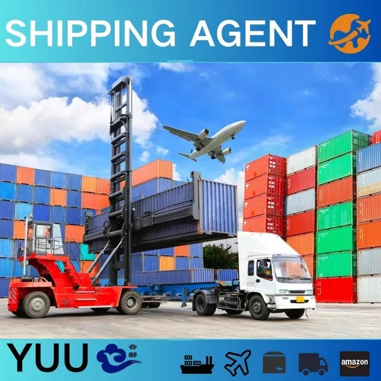 Provide Ocean Freight Logistics Shipping From China to USA