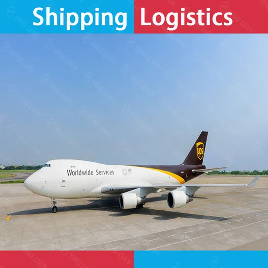 Professional DDP/Dpu/CIF Shipping From China to Kuwait