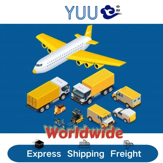 China Transportation to The United States Air Freight Forwarding Service or Air Freight Logistics Transportation