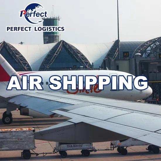 Air/Sea Freight/Shipping From China to USA, Germany, France, UK, Rotterdam, Netherlands, Belgium, South Africa Silicon Sex/Adult Toys/Doll Vibrator Products