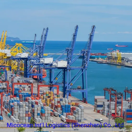 Forwarder Shenzhen Shipping Agent Sea Freight From China to New Zealand